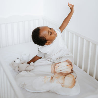 Sleep Bags