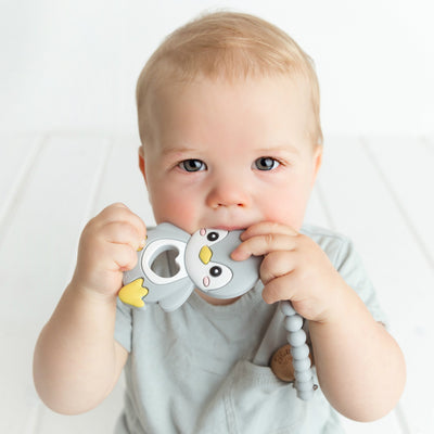 Glitter and Spice Animal Themed Teethers