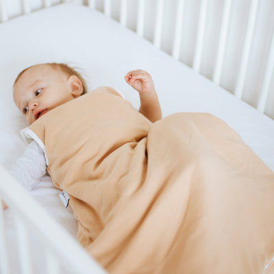 Sleep Bag 2.5 TOG - Desert Sand