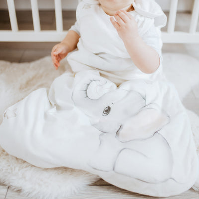 Sleep Bag 1.0 TOG - Up & Aways