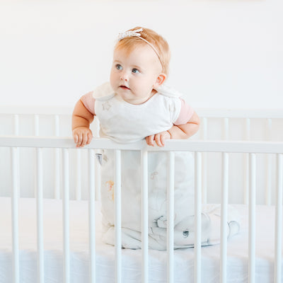 Sleep Bag 1.0 TOG - Up & Aways